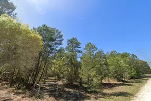 835 Deerwood Ave, Perry, FL 32348 - Photo 1