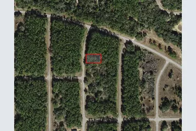 8881 N Teather Terrace, Dunnellon, FL 34434 - Photo 1