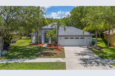 368 Tavernier Circle, Oldsmar, FL 34677 - Photo 1
