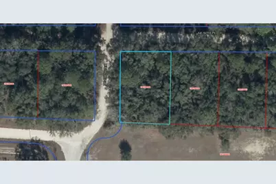 Ne 50th Place, Williston, FL 32696 - Photo 1