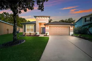 17463 New Cross Cir, Lithia, FL 33547 - Photo 1