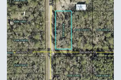 4790 Benedict Street, Hastings, FL 32145 - Photo 1