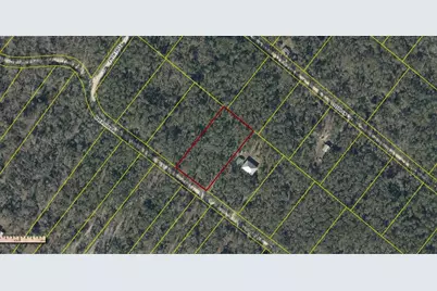 07-05-S-13E-09108-040320 Riverside Drive, O'Brien, FL 32071 - Photo 1