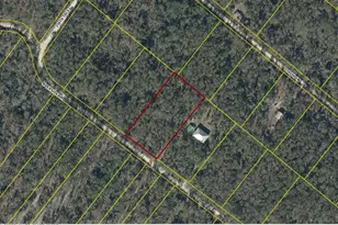 07-05-S-13E-09108-040320 Riverside Dr, O'Brien, FL 32071 - Photo 1