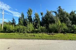 3486 Papaya St, Saint James City, FL 33956 - Photo 1