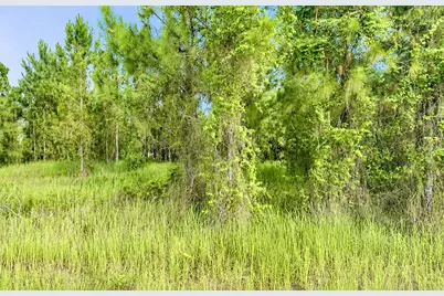 2268 Rolling Road, North Port, FL 34288 - Photo 1