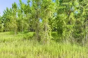 2268 Rolling Rd, North Port, FL 34288 - Photo 1