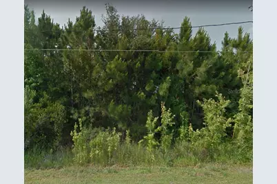 117 Spoonbill Court, Poinciana, FL 34759 - Photo 1