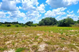 9945 S US Hwy 37, Mulberry, FL 33860 - Photo 1