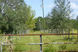 2600 Gabriel Rd, Fort Meade, FL 33841 - Photo 1