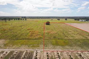 Lot 13 Lake Buffum Road S, Fort Meade, FL 33841 - Photo 1