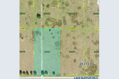 Lot 5 Lake Buffum Road S, Fort Meade, FL 33841 - Photo 1