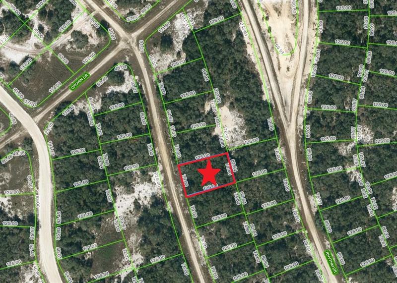 233 Sunway Dr, Lake Placid, FL 33852 MLS C7467065 Coldwell Banker