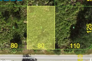 13436 Wade Ave, Port Charlotte, FL 33953 - Photo 1