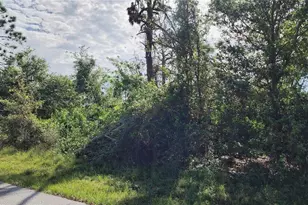 11921 Florence Ave, Port Charlotte, FL 33981 - Photo 1