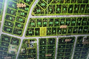 14016 Ritter Ave, Port Charlotte, FL 33953 - Photo 1