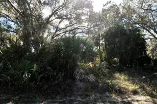 Adolph Lots 10 & 11 Ave, North Port, FL 34288 - Photo 1