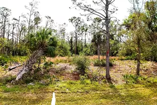 1284 Rambler Terrace, Port Charlotte, FL 33953 - Photo 1
