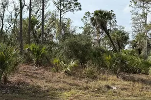 2094 Dorion St, Port Charlotte, FL 33948 - Photo 1