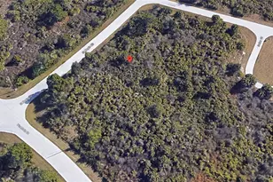 7375 St Regis Cir, Port Charlotte, FL 33981 - Photo 1