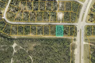 Lot 3 Kalish Ave, North Port, FL 34286 - Photo 1