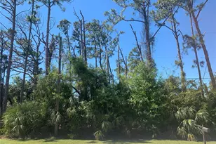 Pincushion, North Port, FL 34286 - Photo 1