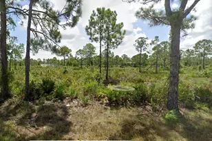 12035 Mandolin Terrace, Punta Gorda, FL 33955 - Photo 1