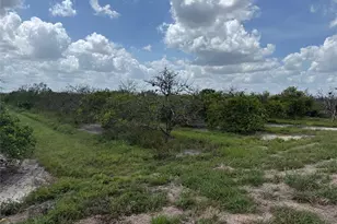 NE Hwy 70, Arcadia, FL 34266 - Photo 1