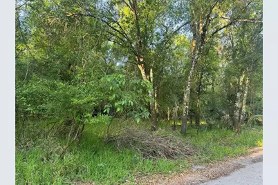 Ne River Mill Drive, Arcadia, FL 34266 - Photo 1