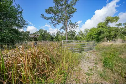 2143 SW Blossom Avenue, Arcadia, FL 34266 - Photo 1