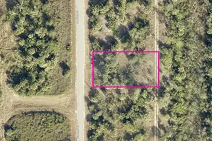 Fiveleaf Rd, North Port, FL 34288 - Photo 1