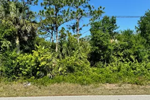 481 Overbrook St, Port Charlotte, FL 33954 - Photo 1