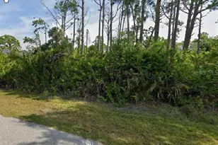 5168 Farewell St, Port Charlotte, FL 33981 - Photo 1