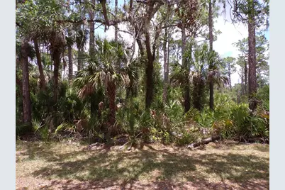 14018 Rider Avenue, Port Charlotte, FL 33953 - Photo 1