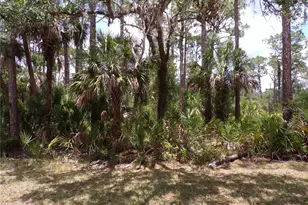 14018 Rider Ave, Port Charlotte, FL 33953 - Photo 1