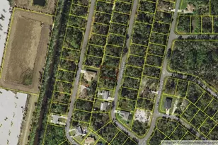 149 Camillia Ln, Port Charlotte, FL 33954 - Photo 1