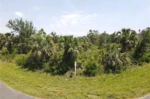 2124 Saipan Ln, Port Charlotte, FL 33953 - Photo 1