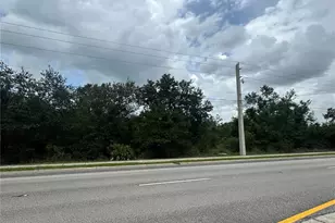 3356/3336/3316 SW Hwy 17, Arcadia, FL 34266 - Photo 1