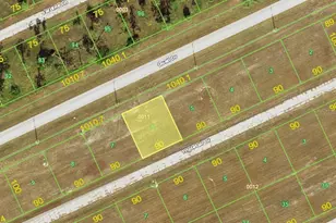 12253 Tripletail Dr, Placida, FL 33946 - Photo 1