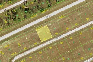 12263 Tripletail Dr, Placida, FL 33946 - Photo 1