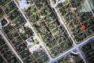 1194 Hammacher Ln, Port Charlotte, FL 33953 - Photo 1