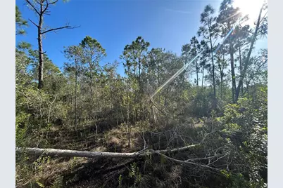 7041 Sweden Boulevard, Punta Gorda, FL 33982 - Photo 1