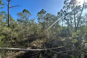 7041 Sweden Blvd, Punta Gorda, FL 33982 - Photo 1