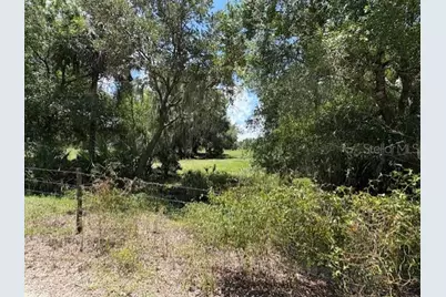 10573 SE Foster Avenue, Arcadia, FL 34266 - Photo 1