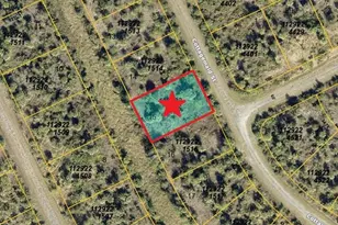 Lot 15 Cottagemaid St, North Port, FL 34288 - Photo 1