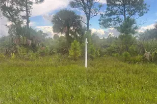 3459 Miller St, Port Charlotte, FL 33981 - Photo 1