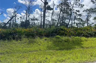 140 Flower Rd, Rotonda West, FL 33947 - Photo 1