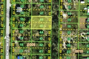 2313 Halibut Ter, Punta Gorda, FL 33983 - Photo 1