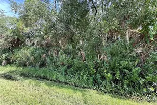 14138 Canadian Ave, Port Charlotte, FL 33953 - Photo 1