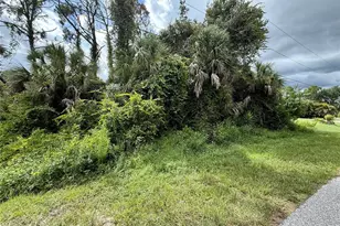 La Suiza St, North Port, FL 34288 - Photo 1
